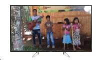 panasonic tx-55ex600b