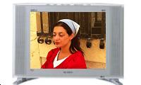 samsung lw15e33c